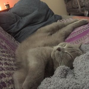 Meet your Posher, Isabella